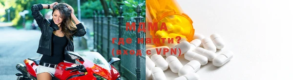 индика Беломорск