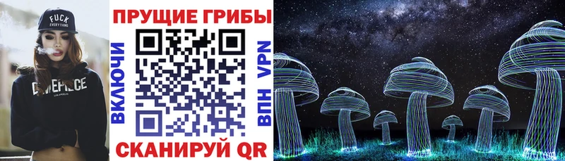 Галлюциногенные грибы прущие грибы Лыткарино