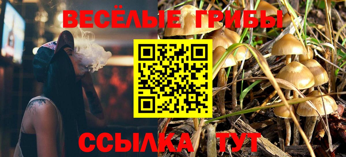 Галлюциногенные грибы мухоморы  Вход с VPN  Галлюциногенные грибы мухоморы  наркотики  Лыткарино 